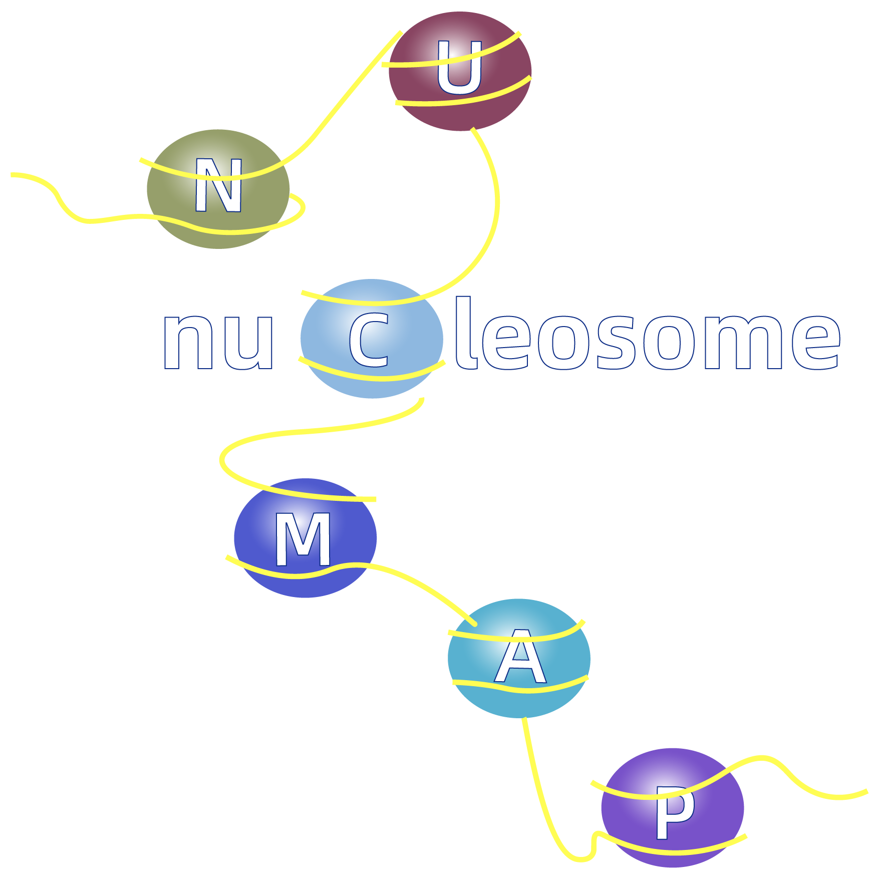 NucMap logo